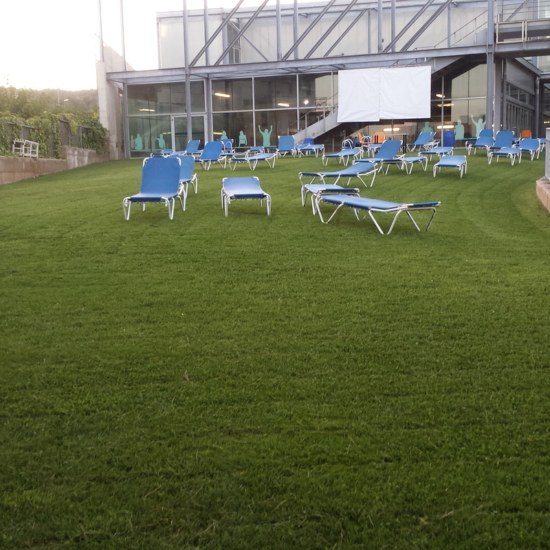 Duin Pau Gasol Sant Boi