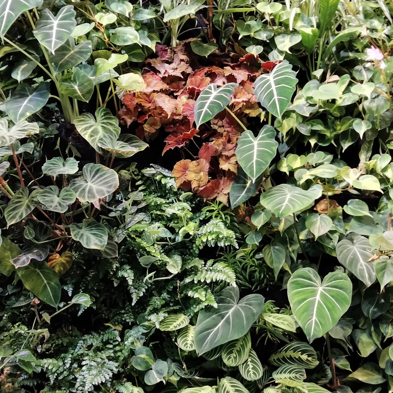 Jardín vertical Replay 2024