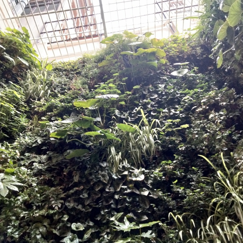 Jardín vertical Loewe 2023