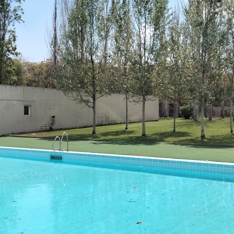 Césped Duin Can Zam